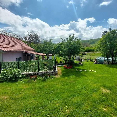 Village Flower Ivy Montenegro Niksic ภายนอก รูปภาพ