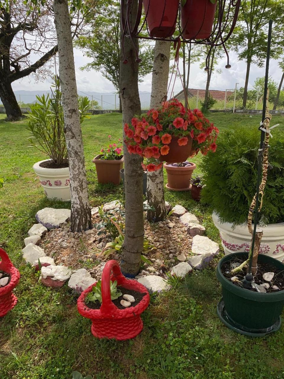 Village Flower Ivy Montenegro Niksic ภายนอก รูปภาพ